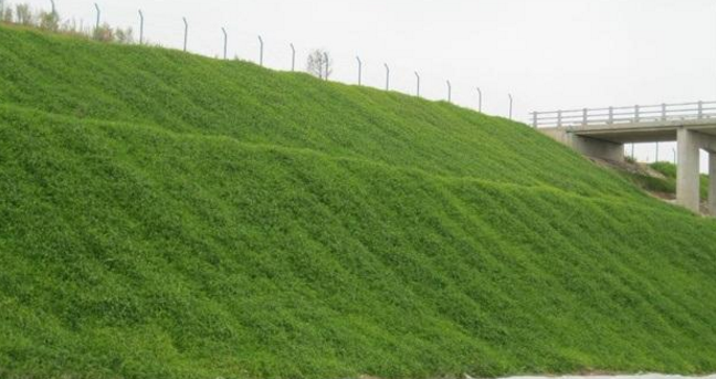 椰棕护坡